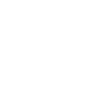 icon-trip-route-white (1)